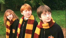 哈利波特麻豆,哈利波特麻豆风采